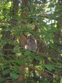 ../thumbnails/023-IMG_4642.jpeg.small.jpeg