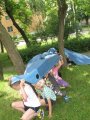../thumbnails/047-IMG_4961.jpeg.small.jpeg