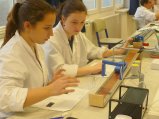 ../thumbnails/016-2016_01_26_Pannвnia_7_028.jpeg.small.jpeg