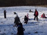 ../thumbnails/018-SN857407.jpeg.small.jpeg
