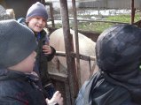 ../thumbnails/034-SN857473.jpeg.small.jpeg