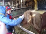 ../thumbnails/015-SN858090.jpeg.small.jpeg