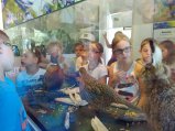 ../thumbnails/032-IMG_20160705_094747.jpeg.small.jpeg