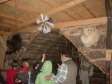 ../thumbnails/019-SDC13313.jpeg.small.jpeg