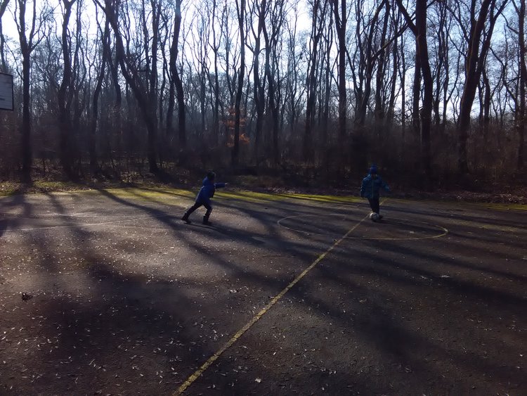 ../previews/008-IMG_20180206_124352.jpeg.medium.jpeg