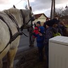 ../thumbnails/017-IMG_20180204_115949.jpeg.small.jpeg
