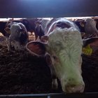 ../thumbnails/019-IMG_20180204_114109.jpeg.small.jpeg